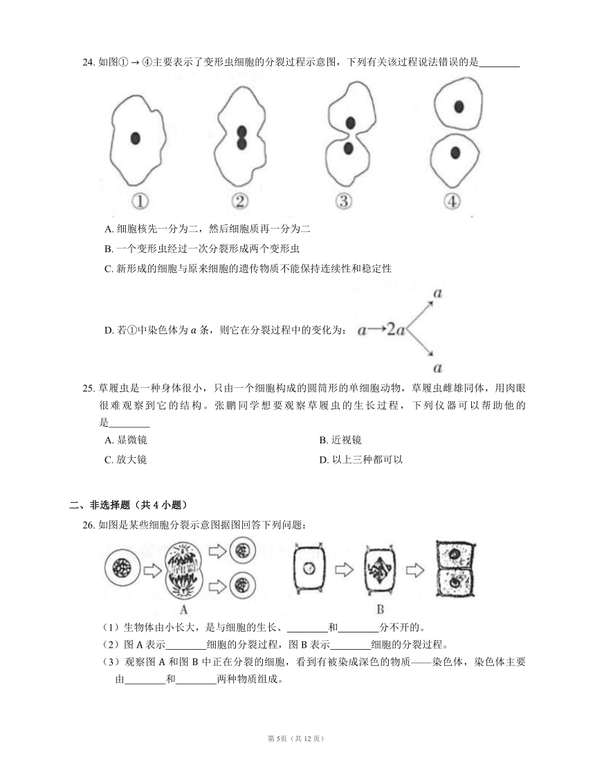 人教版七上生物 第2单元 第2章细胞怎样构成生物体 检测题(word版含解析）