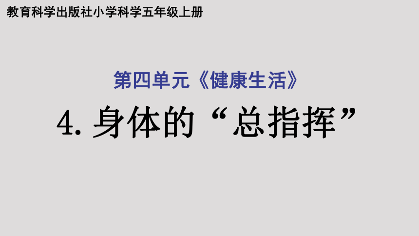 教科版（2017秋） 五年级上册4.4身体的“总指挥”课件（30张PPT)