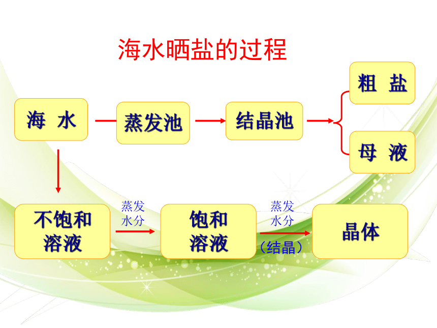 2020-2021学年鲁教版初中化学九年级下册第八单元第二节 海水“晒盐”  课件(共17张PPT)