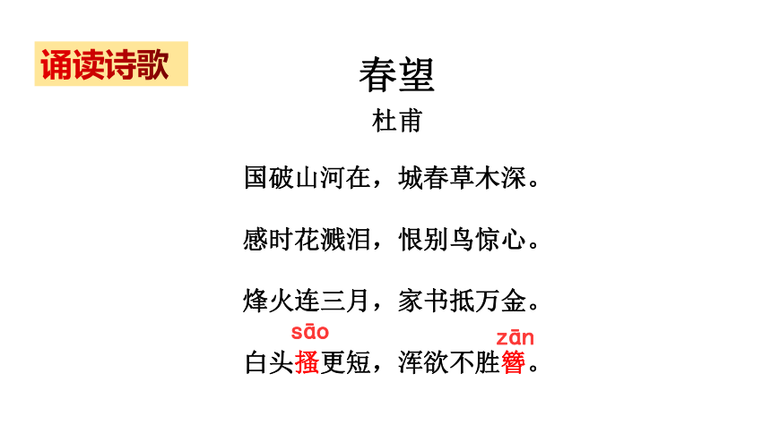 部编版语文八年级上册第26课《诗词五首——春望》课件（共23张PPT）