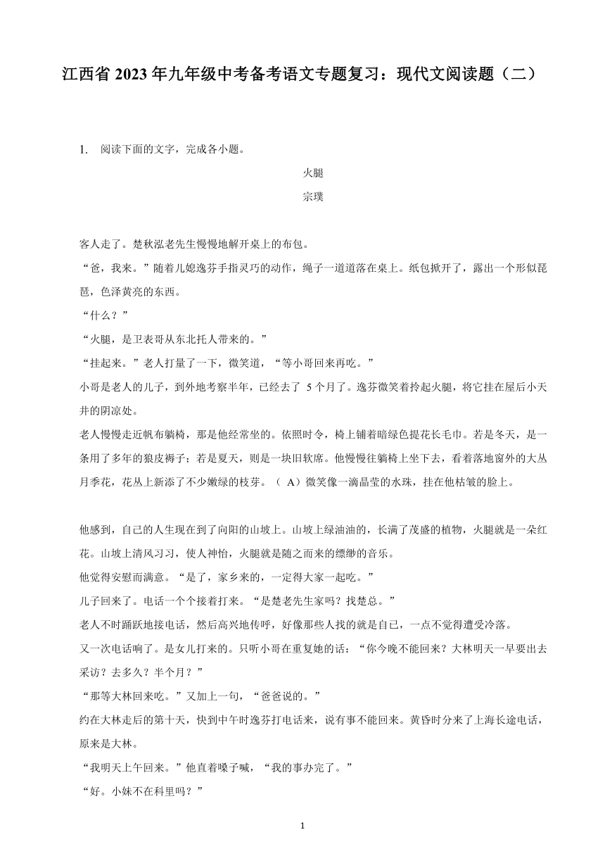 江西省2023年九年级中考备考语文专题复习：现代文阅读题（二）（含解析）