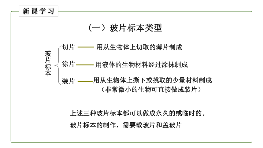 人教版初中生物七年级上册同步教学2.1.2 植物细胞 课件(共19张PPT)