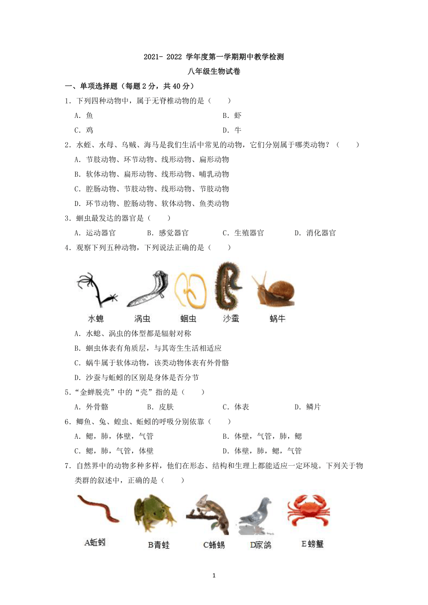 吉林省磐石市2021-2022 学年八年级上学期期中教学检测生物试题（word版含答案）