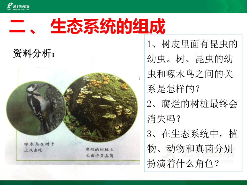 1.2.2生物与环境组成生态系统课件(共29张PPT）