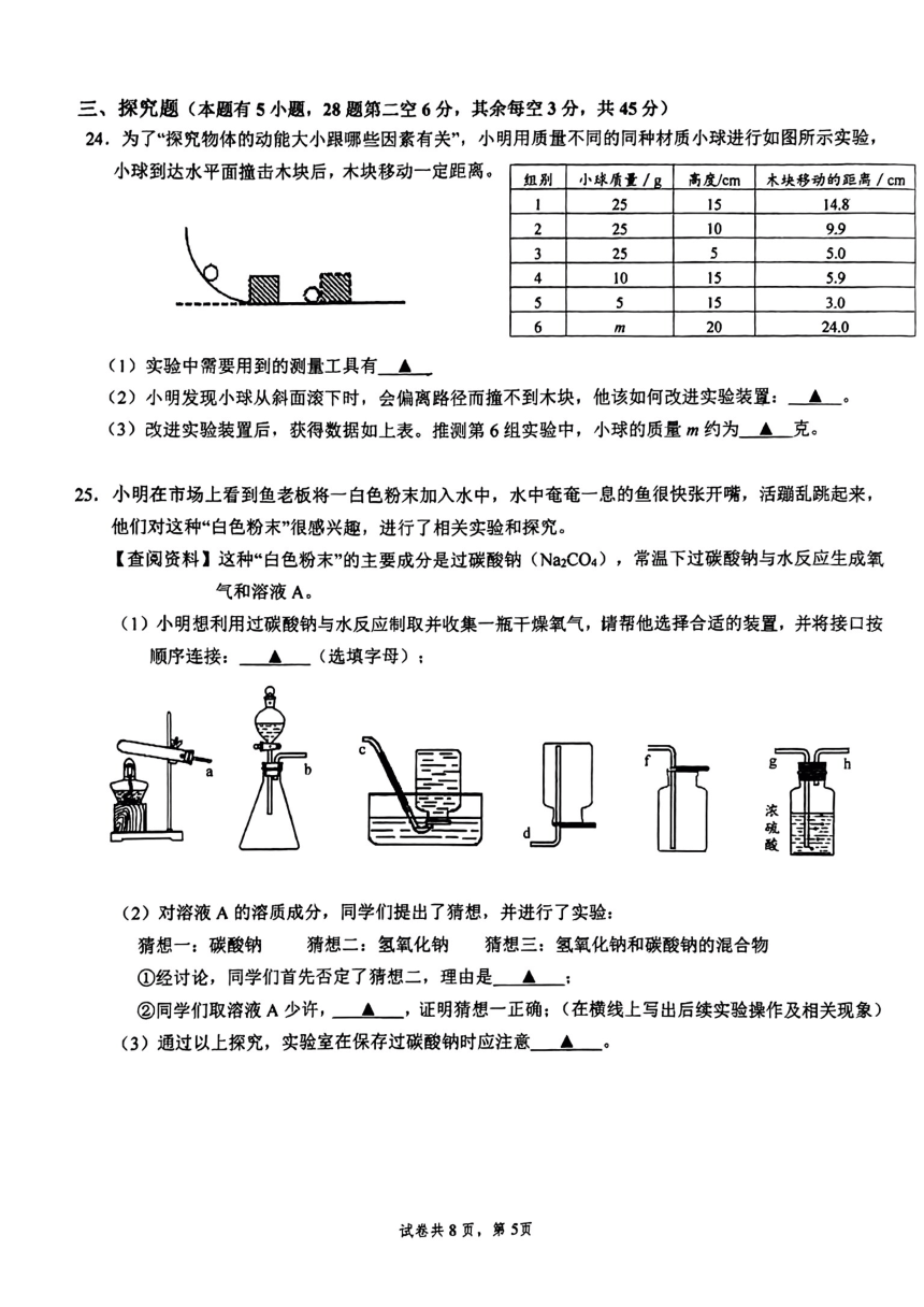 浙江省台州市玉环市实验初级中学2023年九年级中考科学综合测试卷（PDF版 含答案）