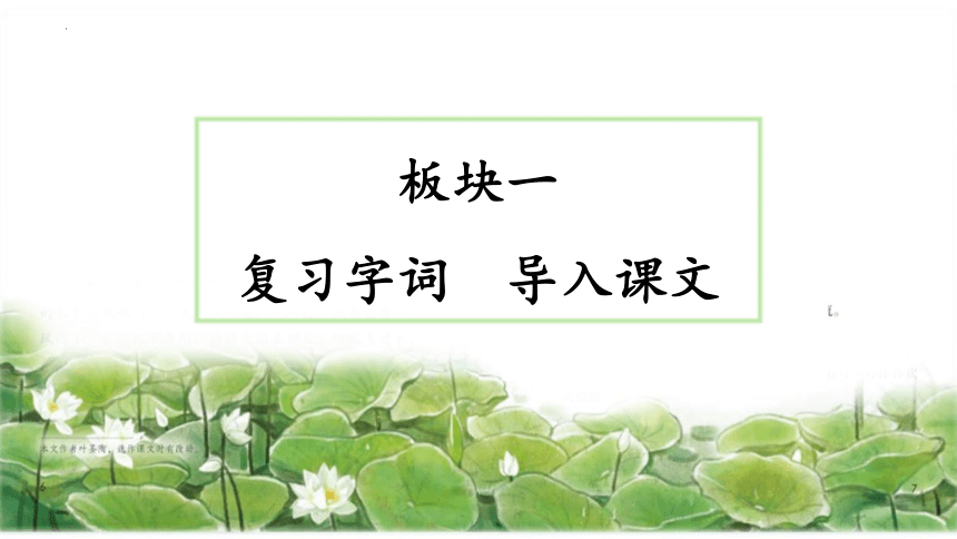 3《荷花》第二课时 课件(共25张PPT)