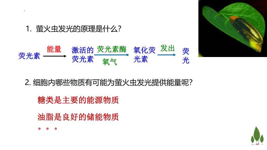 2022-2023学年高一上学期生物浙科版（2019）必修1-3.1ATP是细胞内的“能量通货”课件（24张ppt）