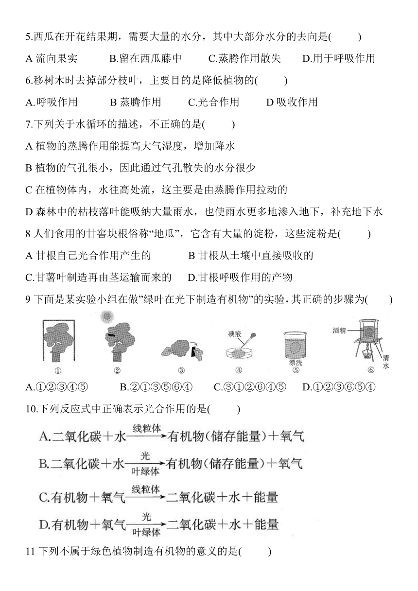 人教版七年级生物上册第三单元生物圈中的绿色植物（第三～六章）基础检测题（Word版含答案）