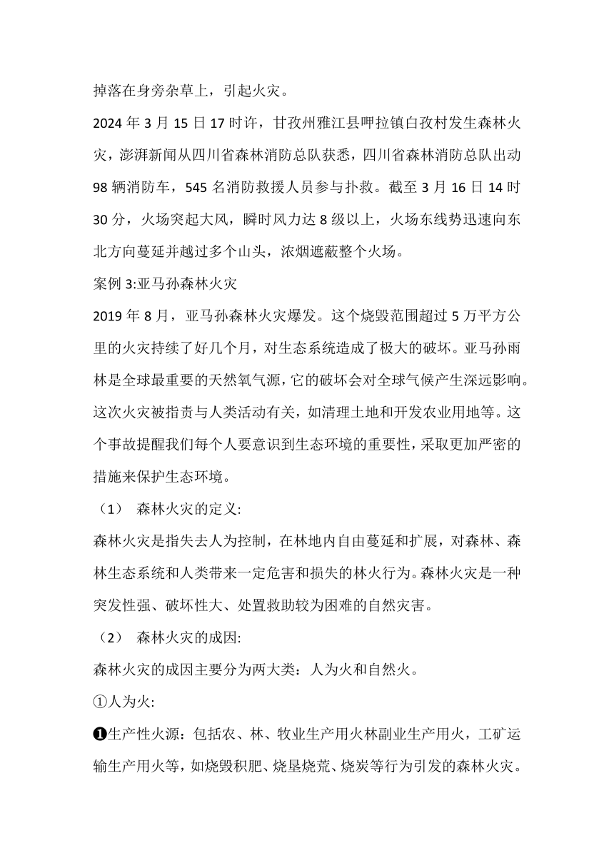 2023-2024学年高一下学期预防森林火灾主题班会教案