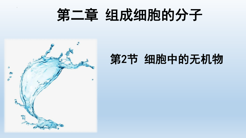 生物人教版（2019）必修1 2.2细胞中的无机物（共38张ppt）课件