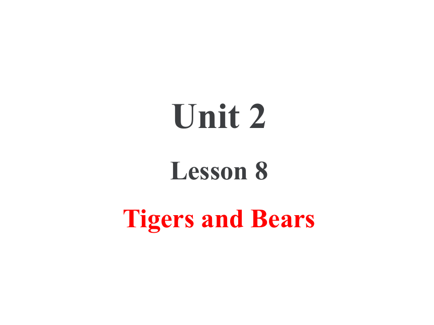 Unit 2 Animals at the Zoo  Lesson 8 Tigers and Bears课件 (共16张PPT)