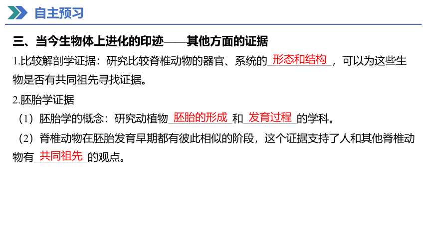 6.1 生物有共同祖先的证据 课件(共27张PPT) 2023-2024学年高一生物人教版（2019）必修第二册