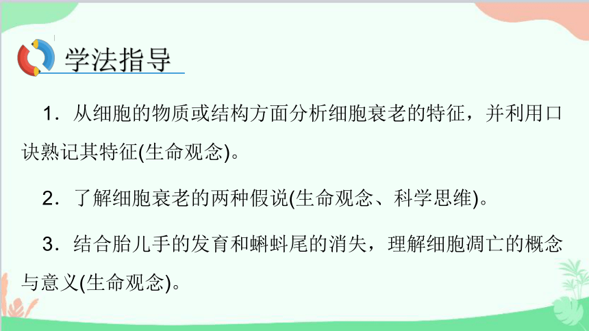 生物人教版(2019)必修1 第6章 细胞的生命历程 第3节细胞的衰老和死亡课件(共74张PPT)