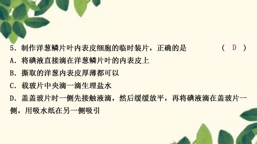 人教版生物七年级上册 期末复习专题(二)　第二单元生物体的结构层次 习题课件 (共22张PPT)