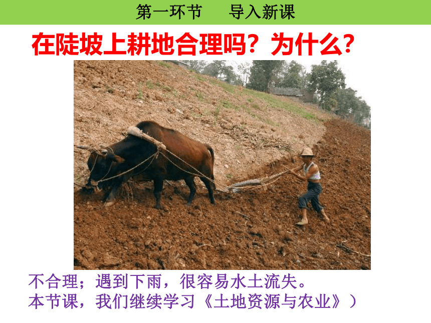 地理中图版七下第四章 第二节 土地资源与农业（第二课时）课件(共18张PPT)