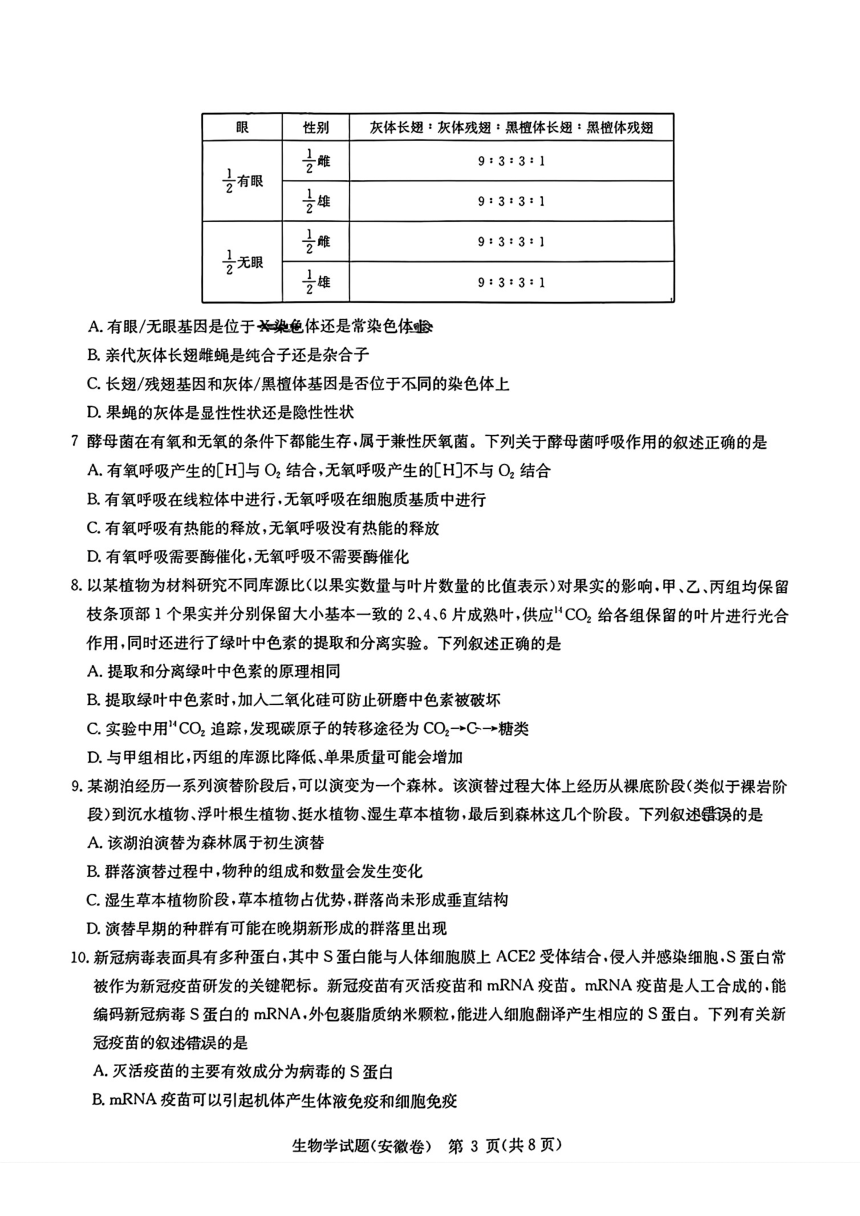 安徽省华大新高考联盟2023-2024学年高三下学期4月联合测评二模生物试题（pdf版含答案）