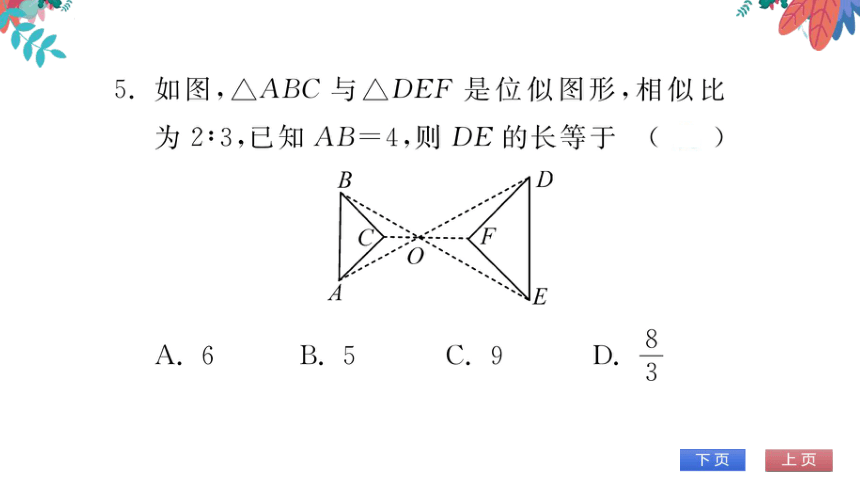 【华师大版】数学九年级上册 23.5位似图形 习题课件