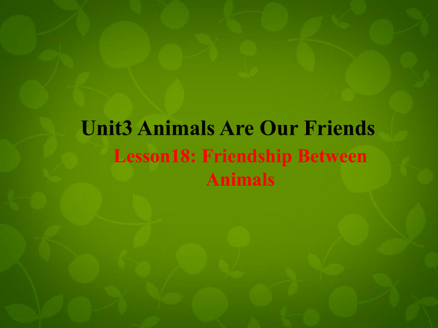 Unit 3 Animals Are Our Friends lesson 18 Friendship Between Animals课件(共16张PPT)