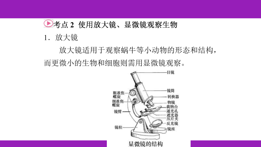 2023浙江中考一轮复习 第1课时 多种多样的生物（课件 59张ppt）