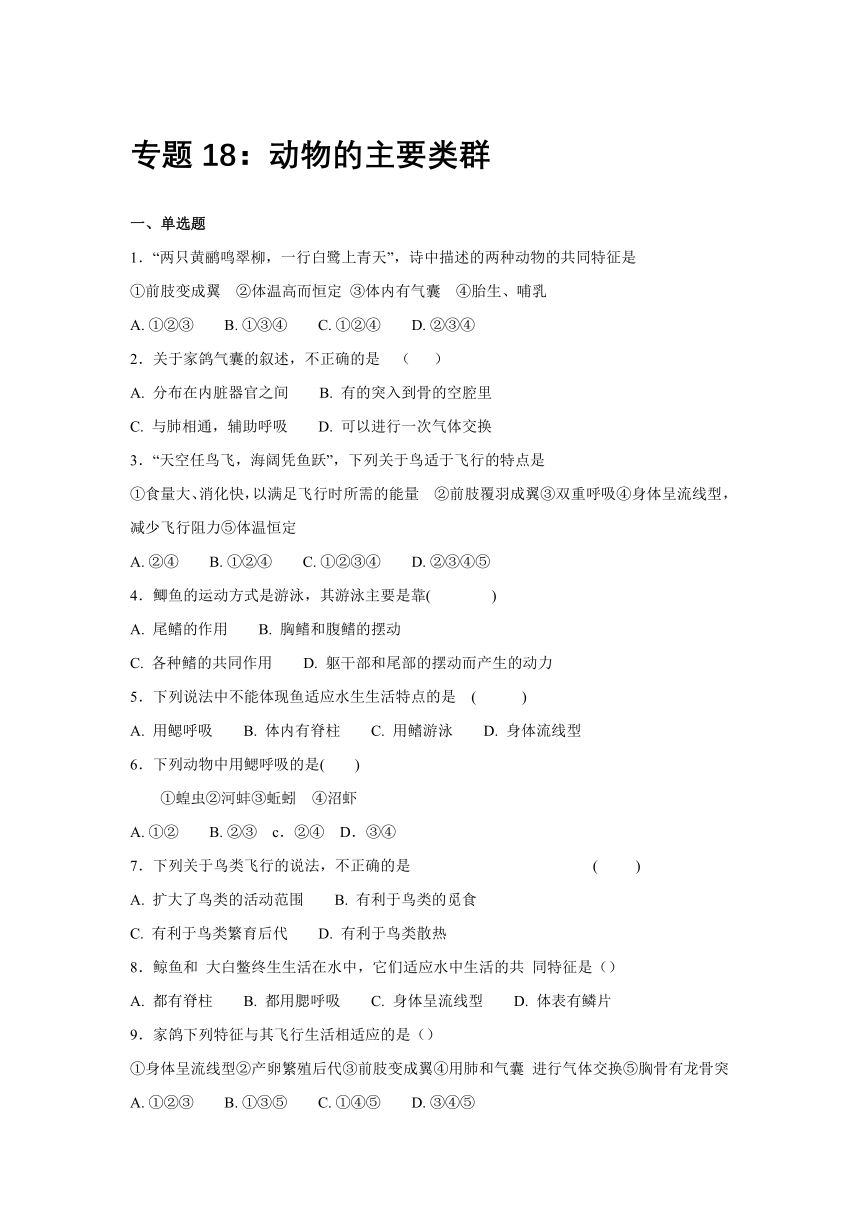 【会考专训】中考生物会考复习专项训练7：动物的主要类群（含解析）