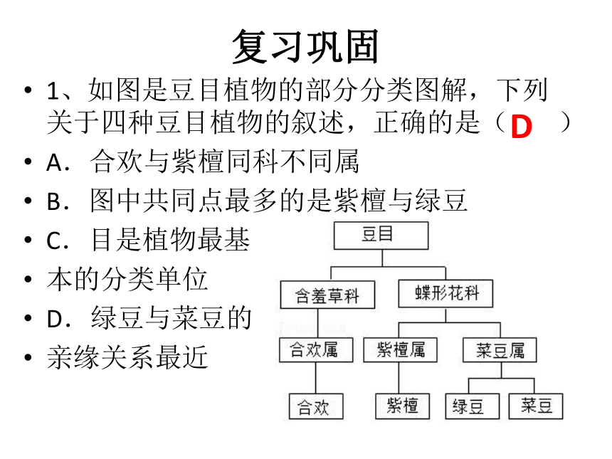 第六单元     生物多样性及其保护复习(共28张PPT)