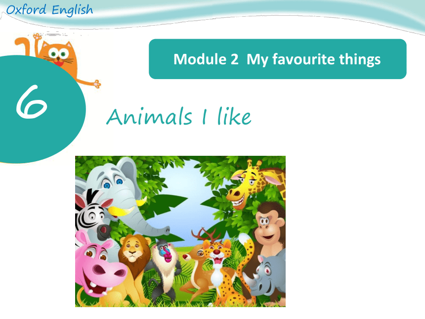 Module 2 Unit 6 Animals I like  课件(共27张PPT)