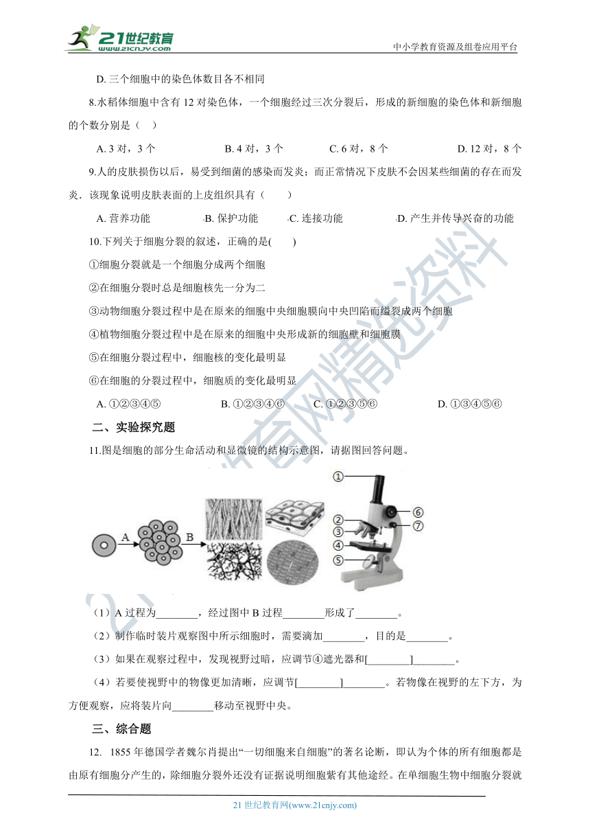 苏科版2021初中生物七下4.8.2细胞的分裂和分化 同步练习（含解析）