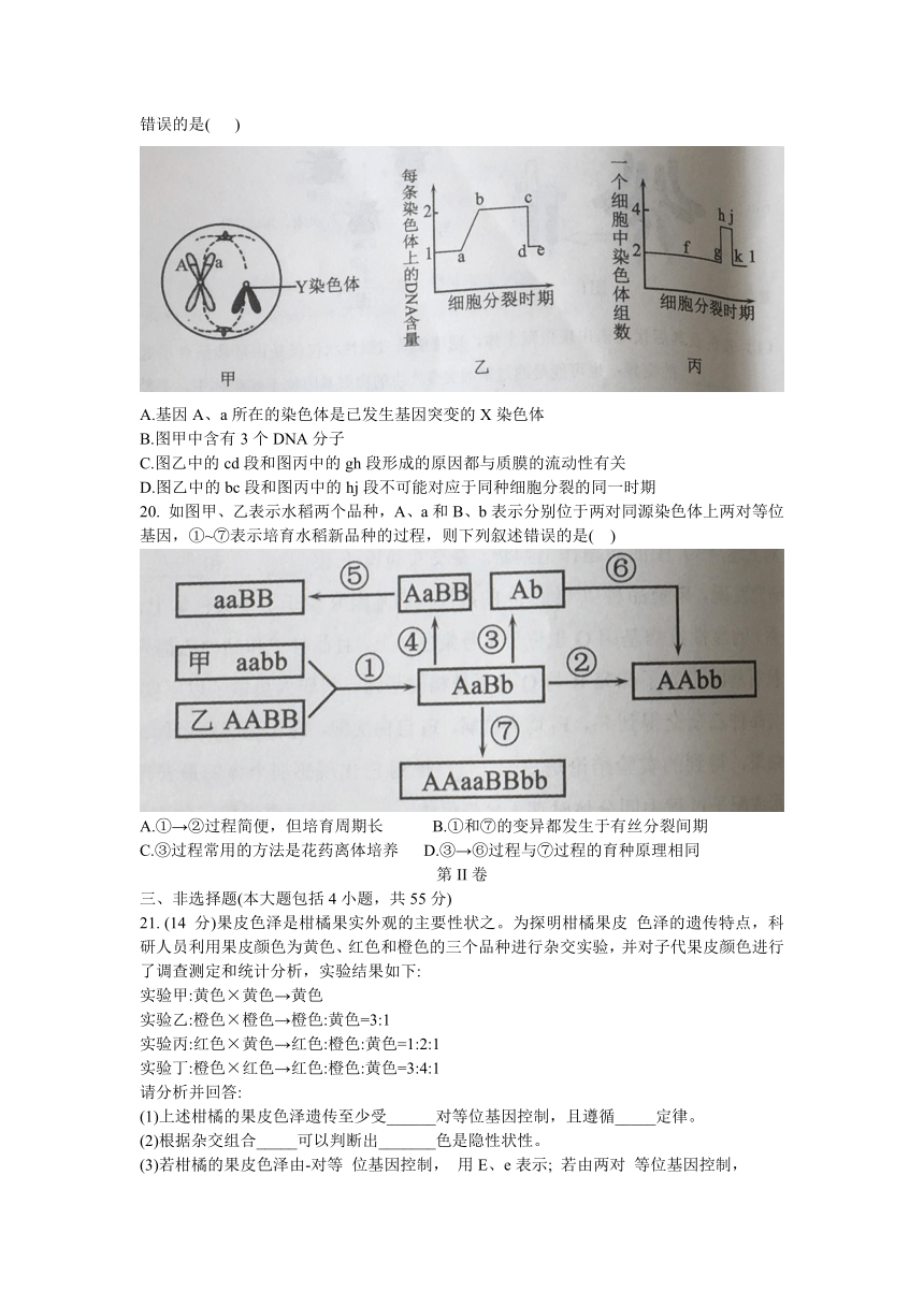 辽宁省沈阳市郊联体2020-2021学年高一下学期期末考试生物试题 Word版含答案