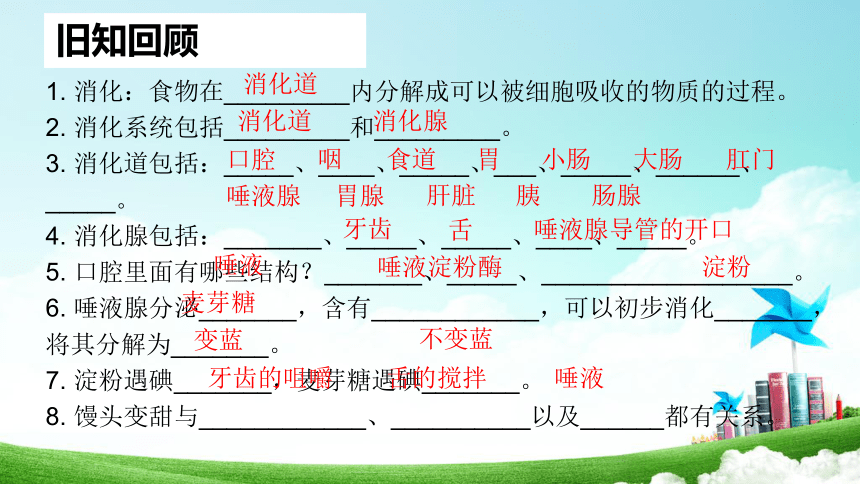 4.2.3  合理营养与食品安全  课件-2023-2024学年人教版生物七年级下册