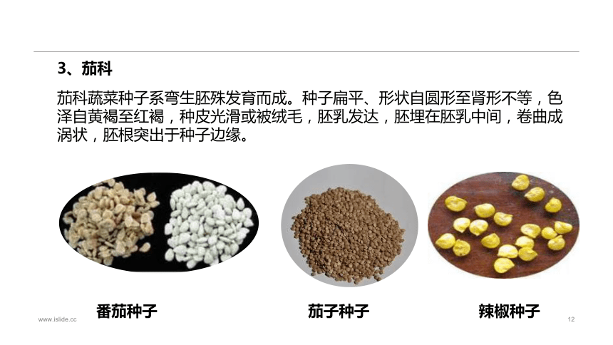 1.2.1蔬菜种子的识别 课件(共34张PPT)-《蔬菜生产技术》同步教学（中国农业出版社）