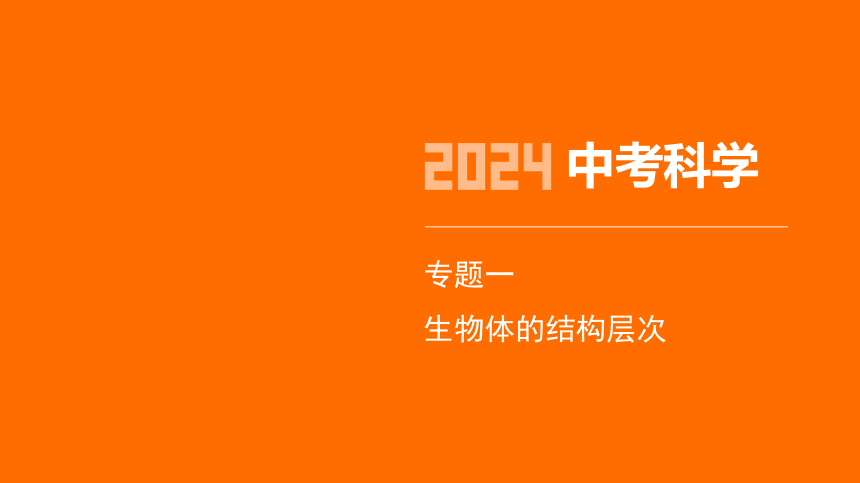 2024年浙江省中考科学二轮复习生物部分：专题一 生物体的结构层次（课件 19张PPT)