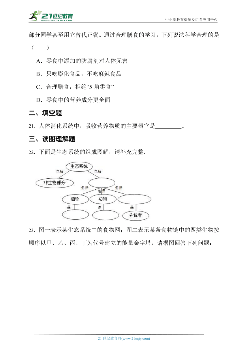 苏科版生物七年级上册期末模拟试卷（三）（含解析）