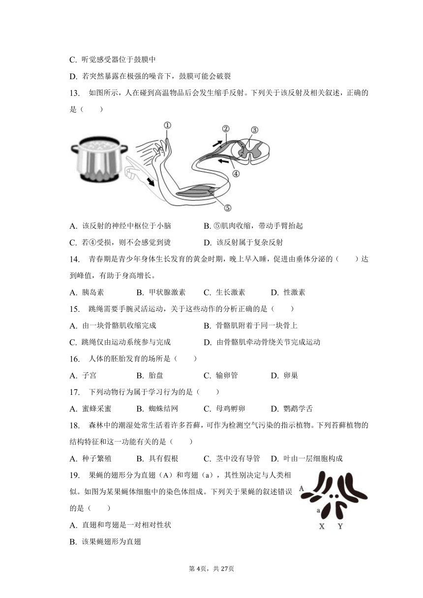 2022-2023学年北京市汇文中学八年级（下）期中生物试卷（含解析）