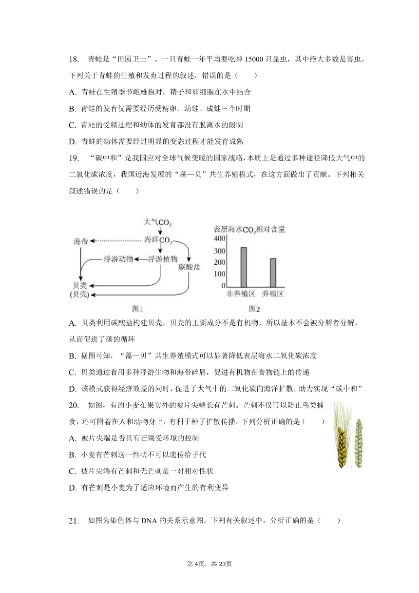 2022-2023学年广东省汕尾市海丰县海城镇学校八年级（下）期中生物试卷（含解析）