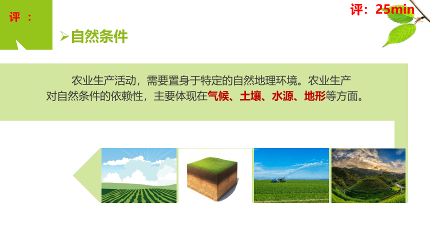 3.1农业区位因素与农业布局（共100张ppt）