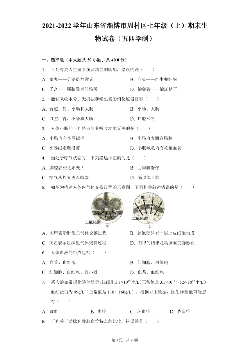 2021-2022学年山东省淄博市周村区七年级（上）期末生物试卷（五四学制）（含解析）