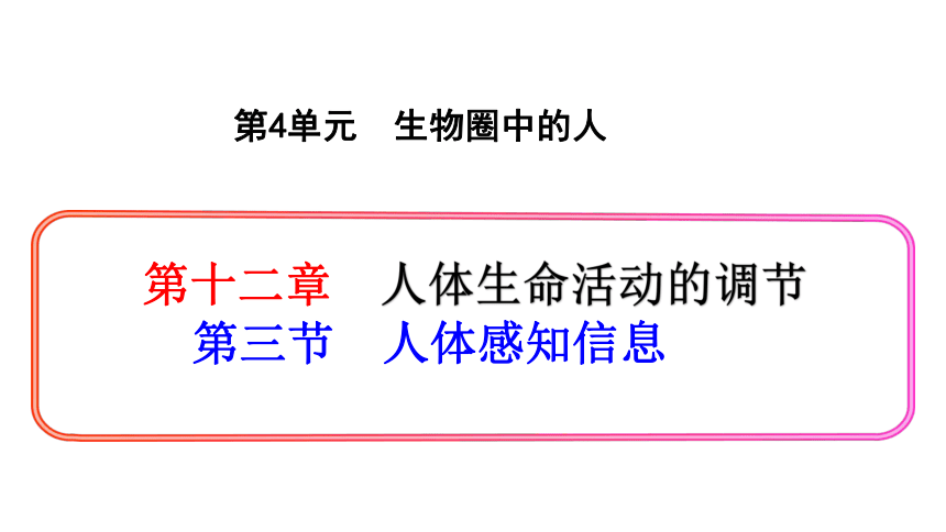 4.12.3 人体感知信息课件(共30张PPT)七年级生物下册（苏教版）