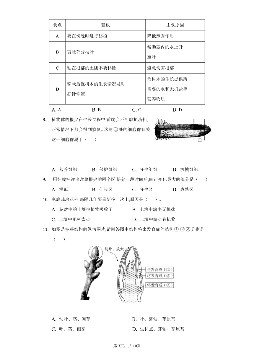 2022-2023学年人教版生物七年级上册同步作业 3.2被子植物的一生(word版含答案）