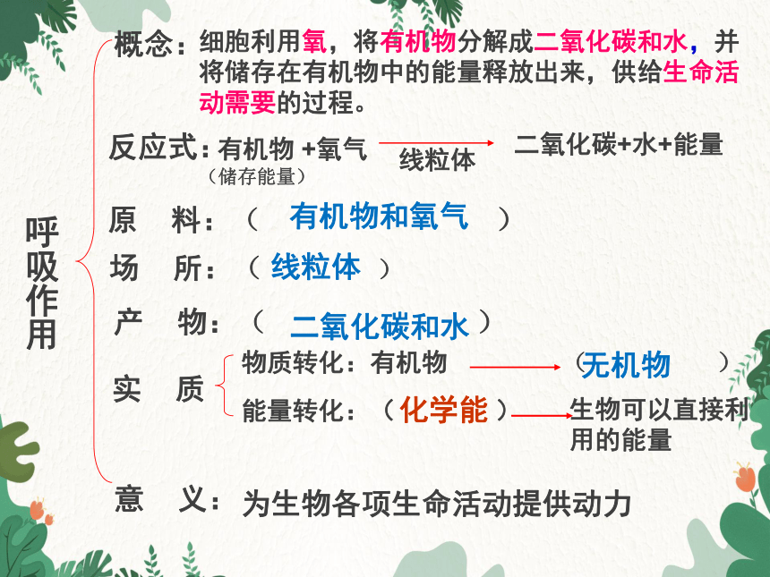 人教版生物七年级上册 第三单元 第五章绿色植物与生物圈中的碳-氧平衡复习课件(共22张PPT)