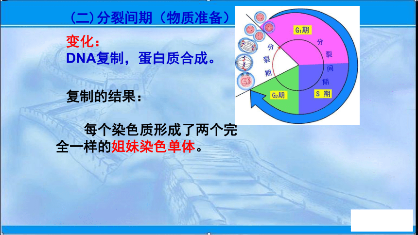 2020-2021学年苏教版（2019）高中生物： 必修1  1.1 细胞中的元素和化合物 课件（56张）