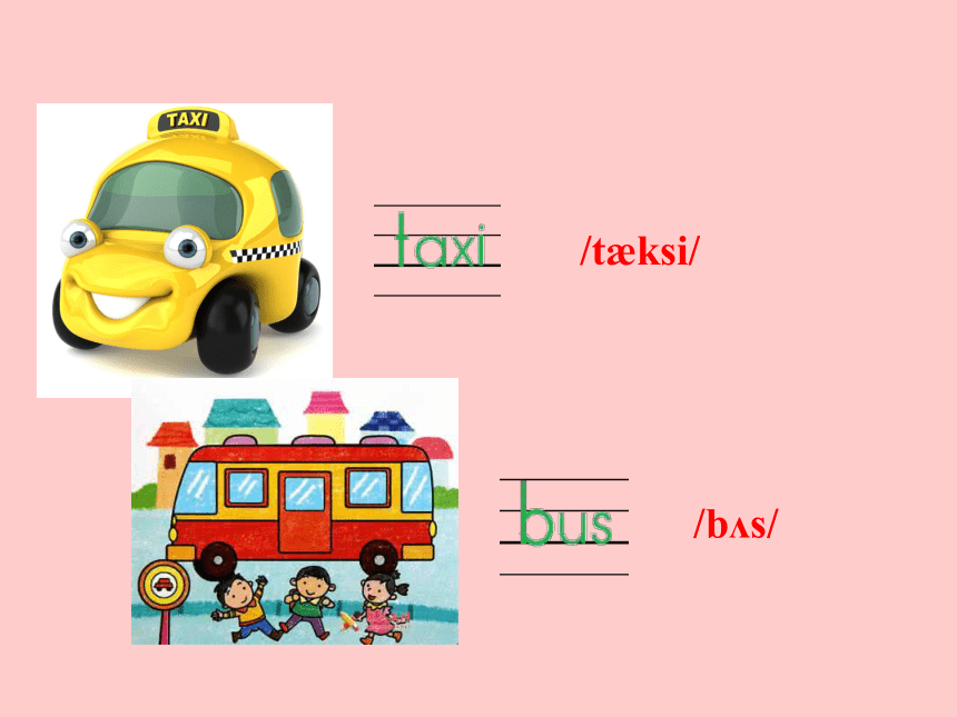 Unit3 Lesson16 Cars and Buses 课件(共13张PPT)