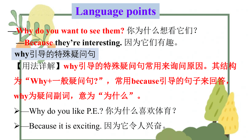 人教版七年级下册Unit 5 Why do you like pandas?单元复习知识点课件(共30张PPT)