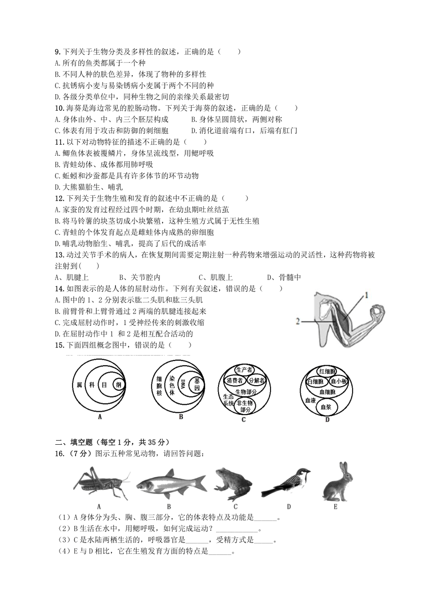 山东省新泰市羊流镇初级中学2020--2021学年上学期八年级生物期末试题（鲁科版八上 八下）（word版含答案）