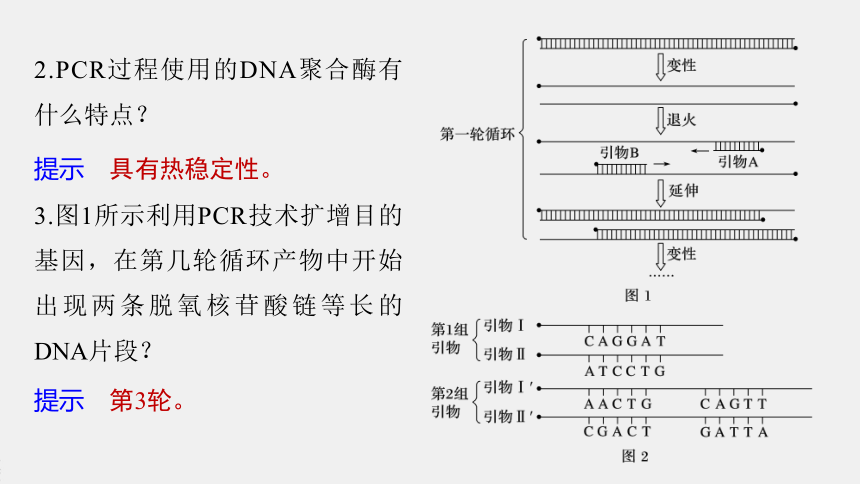 高中生物苏教版（2019）选择性必修3第三章 第一节　第2课时　PCR技术和利用PCR技术扩增DNA片段并完成电泳鉴定（76张PPT）