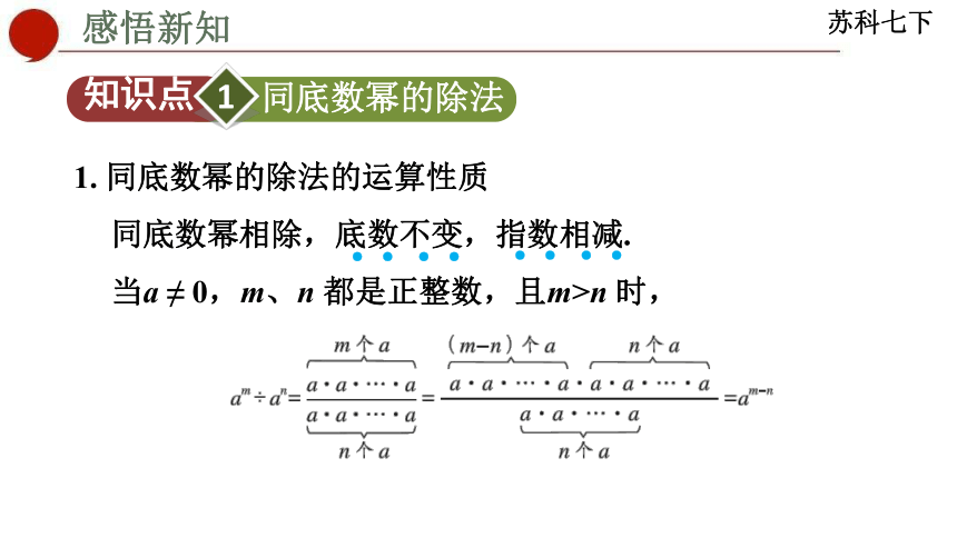 8.3 同底数幂的除法-苏科版数学七年级下册同步课件(共33张PPT)