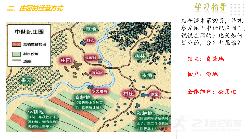 第8课《西欧庄园》课件（22张PPT)