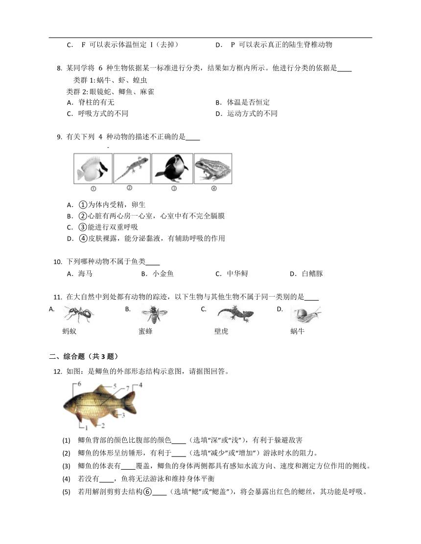 7.1.4鱼类练习（含答案）鲁科版八年级上