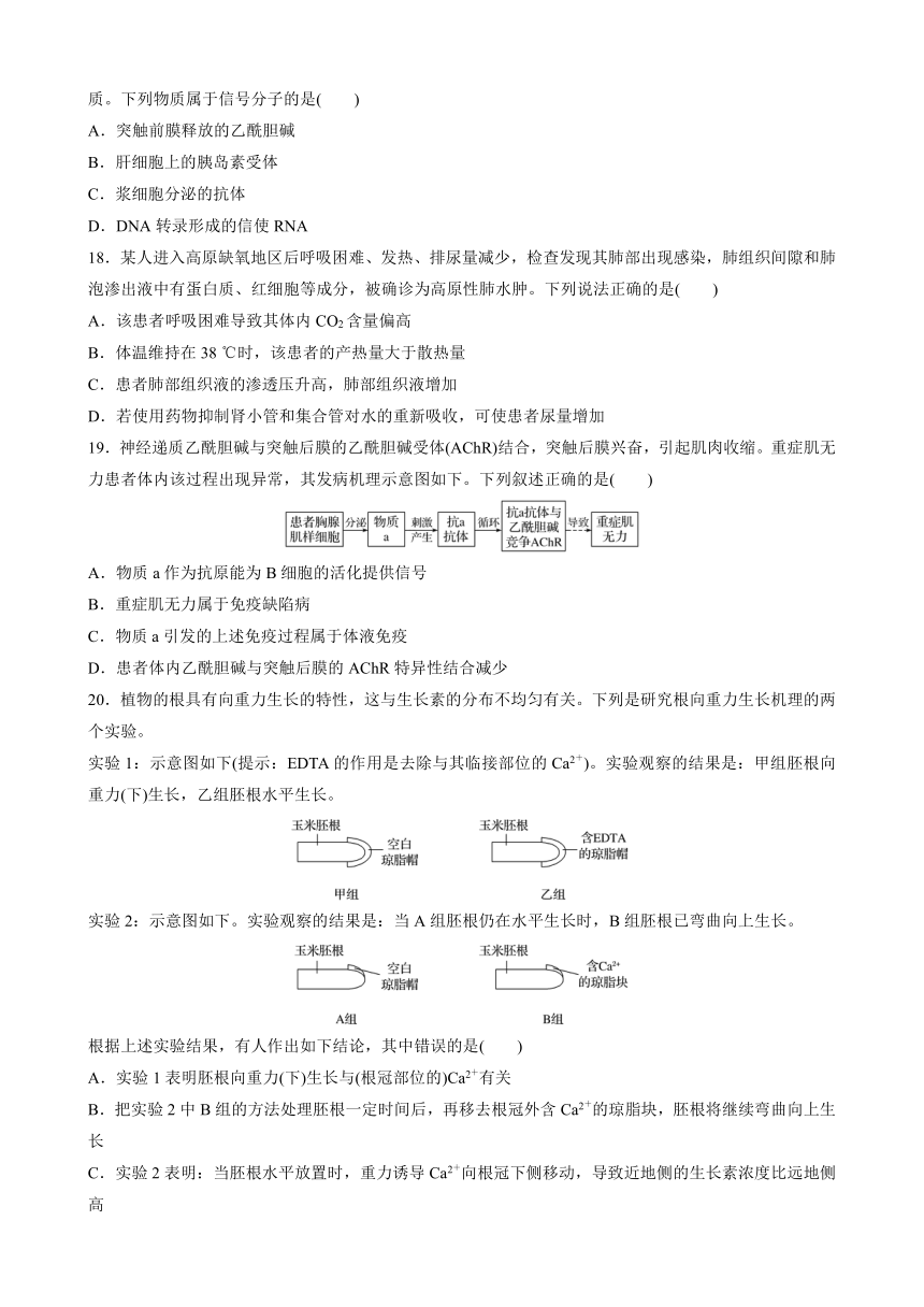 高中苏教版（2019）生物选择性必修1 稳态与调节 模块检测试卷(一)（word版含解析）