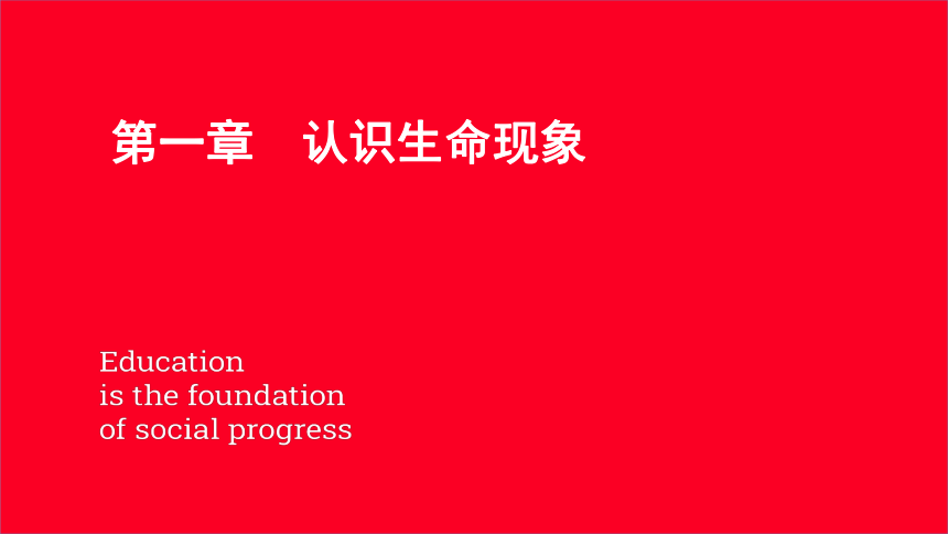 2023年生物中考一轮复习课件 第一单元第一章 认识生命现象 课件(共77张PPT) 济南版 七年级上册