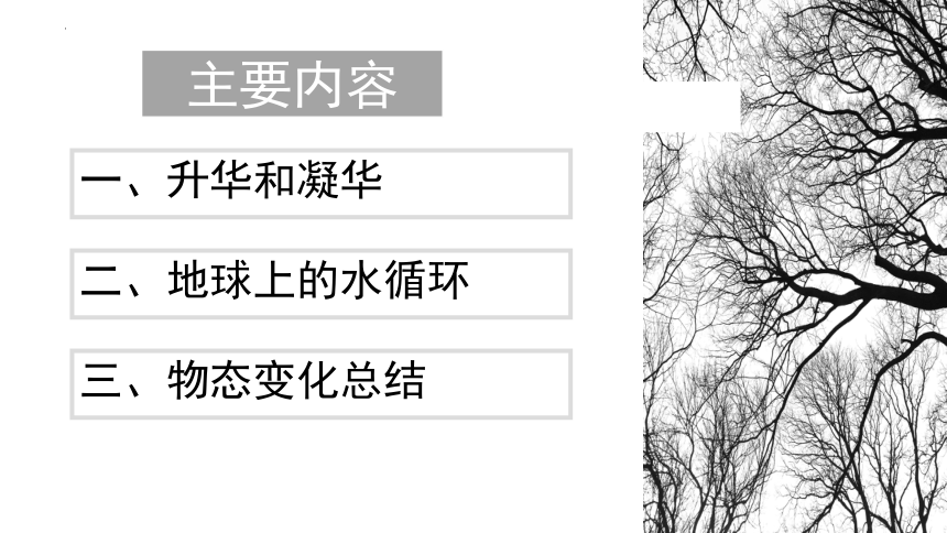 5.4地球上的水循环 课件(共24张PPT)2022-2023学年教科版物理八年级上册